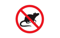 obraz przedstawia na białym tle czarną mysz w czerwonym znaku zakazu