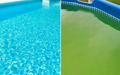 Zdjęcie do Dlaczego woda w basenie robi się zielona?