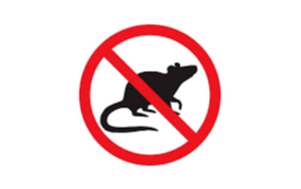 obraz przedstawia na białym tle czarną mysz w czerwonym znaku zakazu